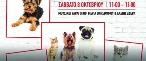 Скидка 20% и акции в зоомагазине ZooFast Cy