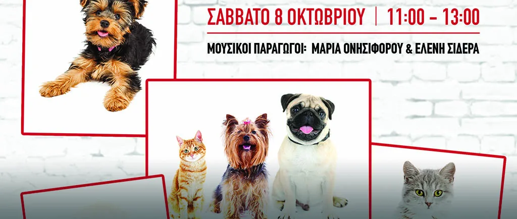 Скидка 20% и акции в зоомагазине ZooFast Cy
