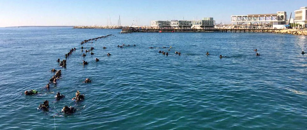 Divers Guinness Limassol