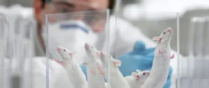 Cypriot scientist found a way to treat Alzheimer’s