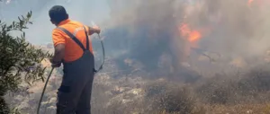 Fires in Limassol and Paphos