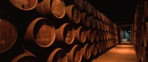Wine Month 2016 — дегустация вин в Лимассоле