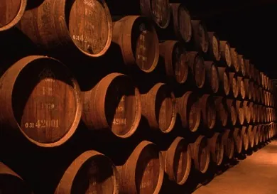 Wine testing Limassol