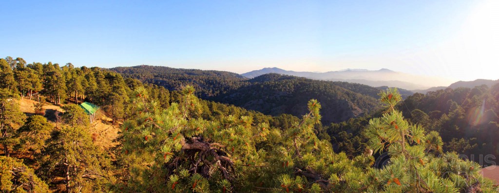 The view from the hotel of the Troodos