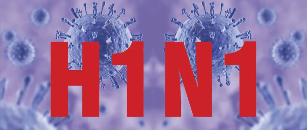 H1N1