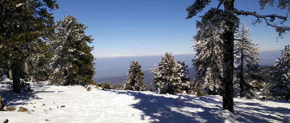 Troodos