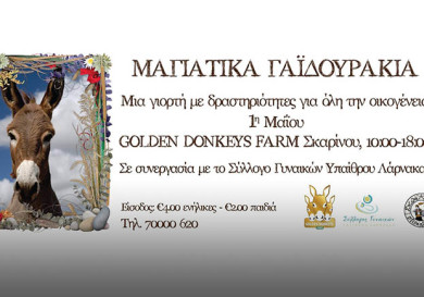 Фестиваль осликов Golden Donkeys