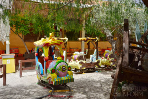 Mazotos Camel Park - Cyprus