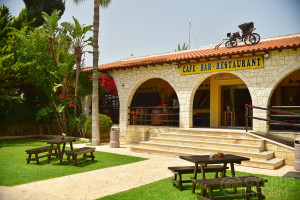 Mazotos Camel Park - Cyprus