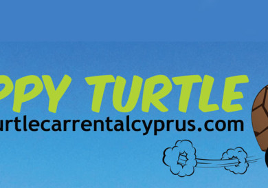 Nippy Turtle