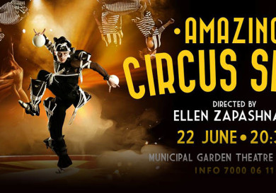 Amazing Circus Show