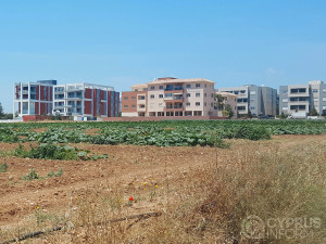 Field in Limassol Cyprus