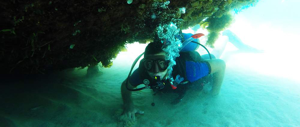 Into TheBlue Diving Center