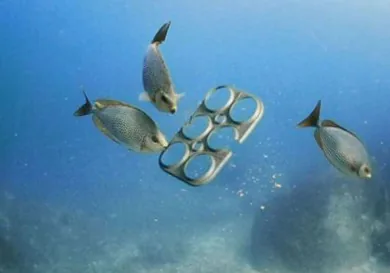 Море