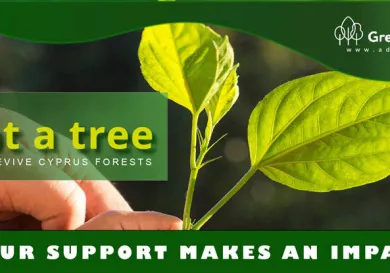 GreenCyprusCom