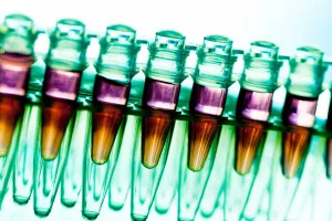 Medilab Clinical Laboratory Medilab Clinical Laboratory
