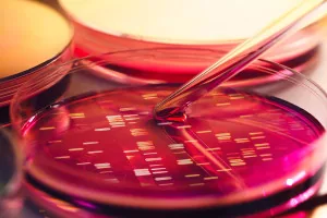 Medilab Clinical Laboratory Medilab Clinical Laboratory
