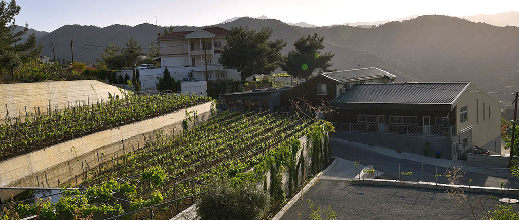 Santa Irene Winery Cyprus