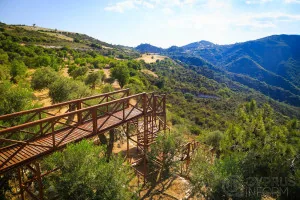 Terra Oliva Terra Oliva