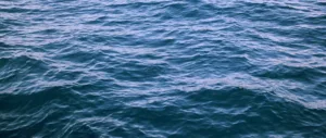 Marathon Swimming Pafos2017 — плавательный марафон