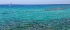Совместная борьба с загрязнением Средиземного моря