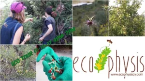 Οικοπεριήγηση 19/11