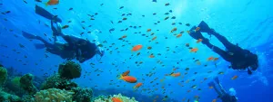 c35-s1_interesttri-nav_13-scubawatersports
