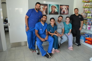 drmichalisloukaveterinary_pic3