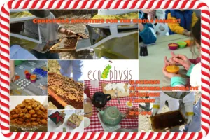 Christmas with Ecophysis