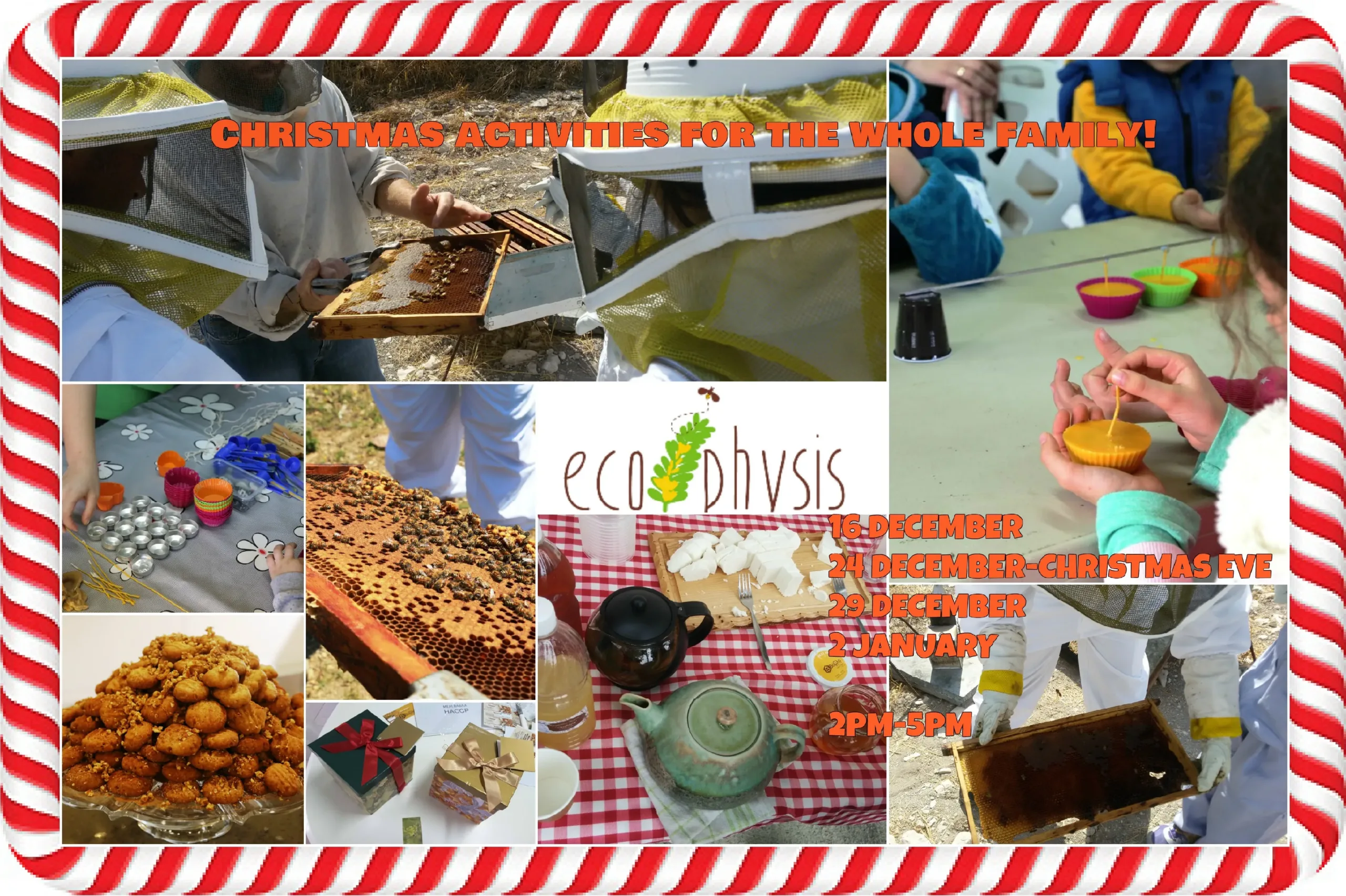 Christmas with Ecophysis