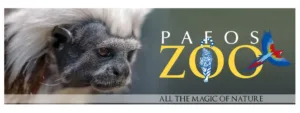 Christmas season in Pafos Zoo