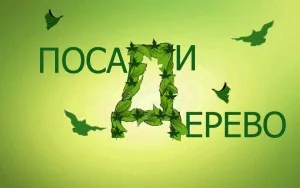 adopt