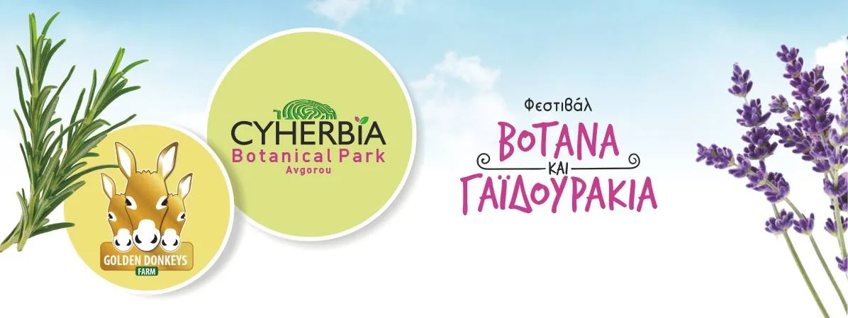 Фестиваль Трав и Осликов