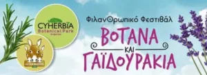 Фестиваль трав и осликов