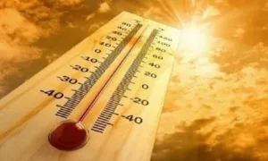 Желтое предупреждение завтра. Температура 41 ℃