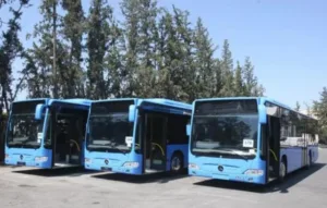 Автобусные компании продолжают протесты