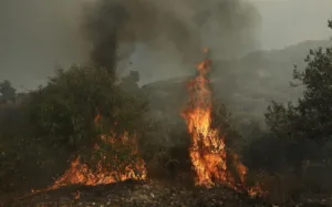 Пожар в Лимассоле
