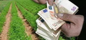 Компенсация 2,5 млн евро за ущерб, нанесенный сельскому хозяйству