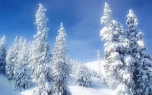 Понижение температуры сегодня