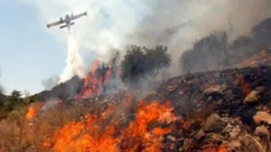 Большой пожар в селе Пачна