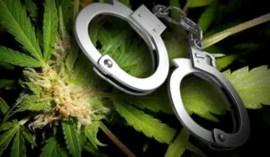 20-летнего посадили в тюрьму за наркотики