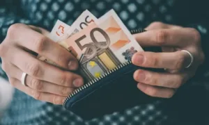 Национальная институциональная структура минимальной заработной платы имеет серьезные недостатки — EAPN