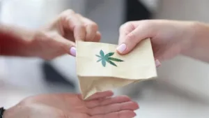 Полиция начала проверку магазинов, продающих вещества CBD