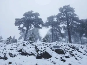 Три школы закрываются из-за низких температур