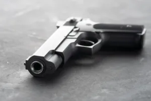 Бывшие сотрудники полиции предупреждают об изменении политики выдачи лицензий на оружие