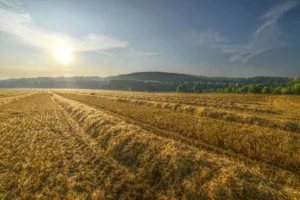 Температура приближается к 40°C, повышается уровень пыли