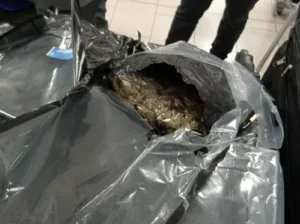 19-летняя женщина арестована в аэропорту Ларнаки с 8,76 кг кокаина