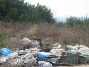 Незаконный сброс отходов в лесу Пелендри перекрыл пожарную полосу