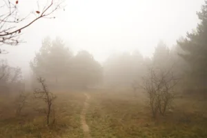 Кипр: Жаркий вторник с температурой до +38°C, местами туман и облачность