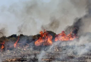 Пожарные борются с возобновлением лесного пожара у Омодоса в Лимассоле